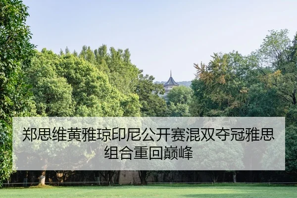 zheng-si-wei-huang-ya-qiong-yin-ni-gong-kai-sai-hun-shuang-duo-guan-ya-si-zu-he-zhong-hui-dian-feng-2-721.jpg